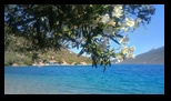 Kottesi Beach -06-07-2024 - Bogdan Balaban